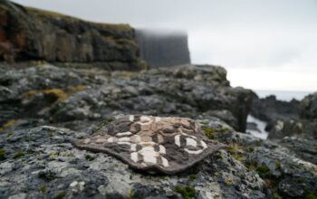Skapað tína egnu sitimáttu úr ull í FabLab í Vági
